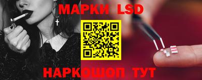 МДПВ Камышлов