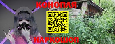 МДПВ Камышлов