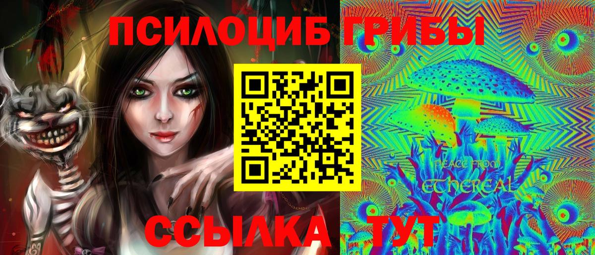 Кыштым  Галлюциногенные грибы MAGIC MUSHROOMS  Вход с VPN  цены   Псилоцибиновые грибы Cubensis 